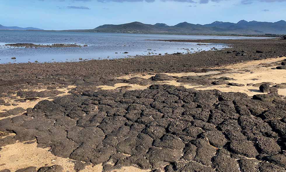 petrifaction bay photo