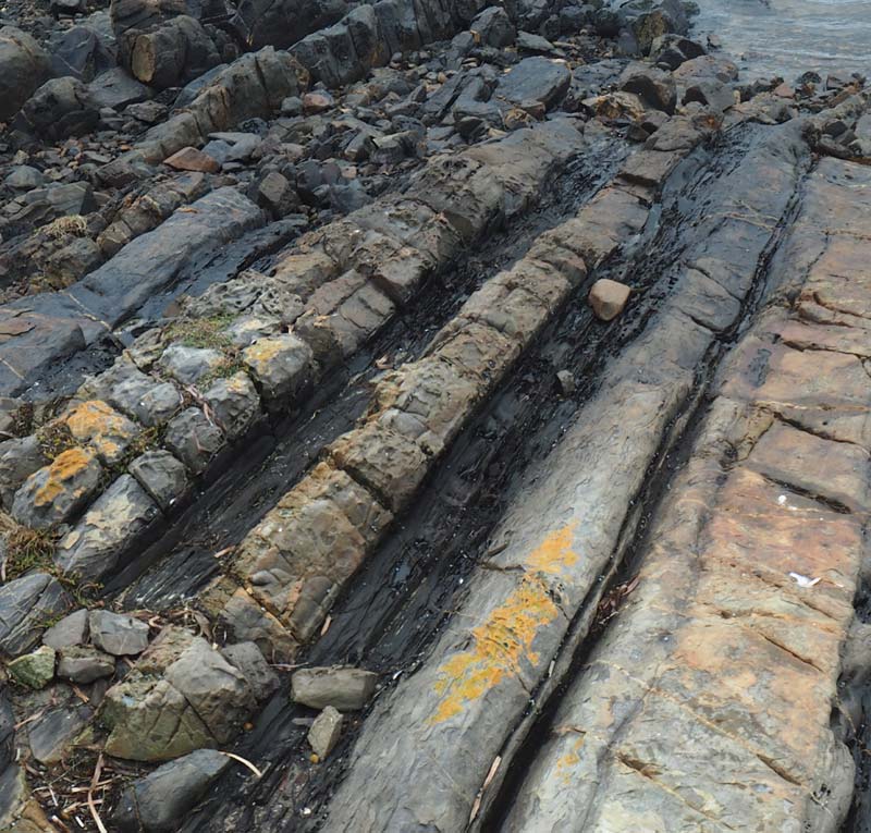 settlement point view detail