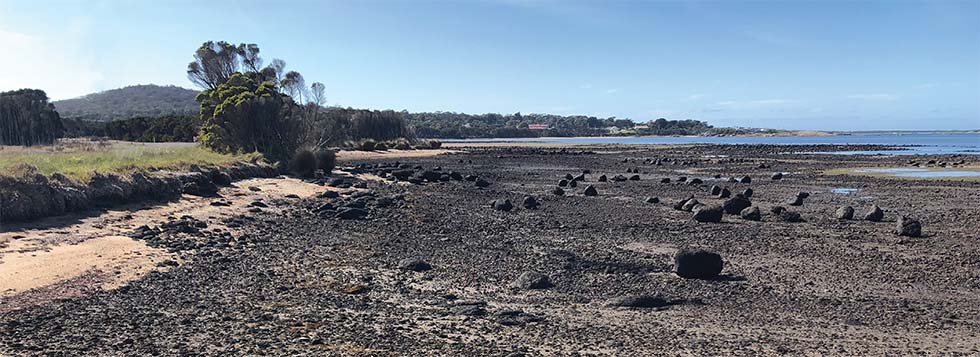 Petrifaction Bay panorama