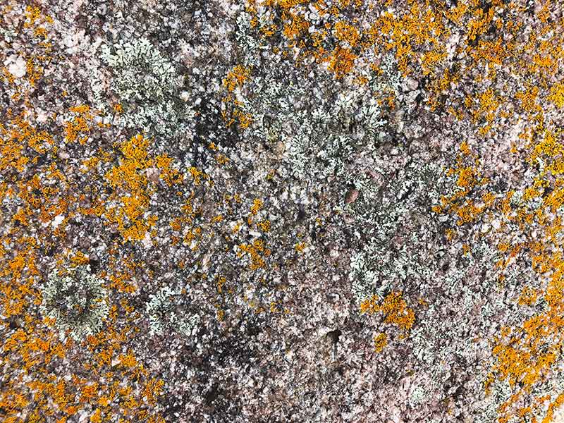 trousers point granites